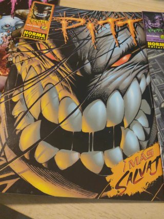 Comic colección n* 1/2 al 12 más PITT EN LA SANGRE