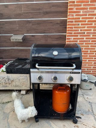 Barbacoa de gas Naterial c