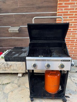 Barbacoa de gas Naterial c