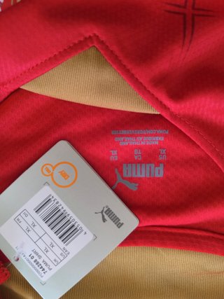 Camiseta Puma Serbia Roja