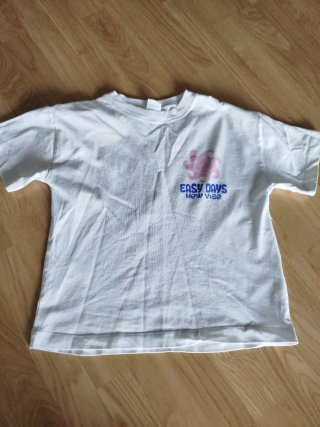 Lote 2 camisetas Zara niña Talla 11-12