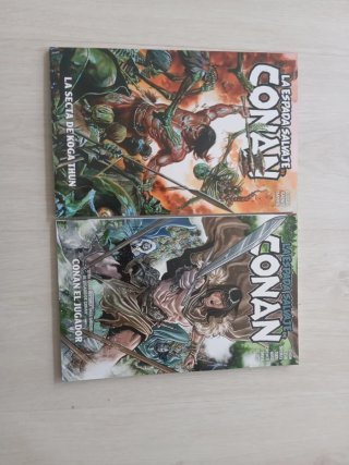 La espada salvaje de Conan