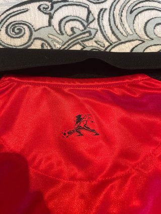 Camiseta Milán x Slam Jam Manga Larga Puma