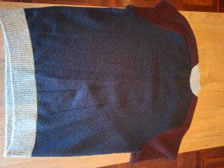 Jersey Gap Azul y Rojo