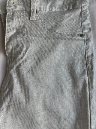 Pantalón plateado brillante