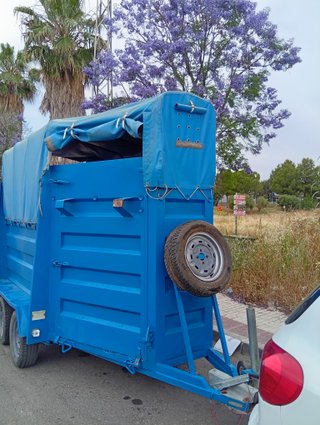 Remolque para 2 caballos azul ITV al día