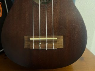 Ukulele Kala con custodia