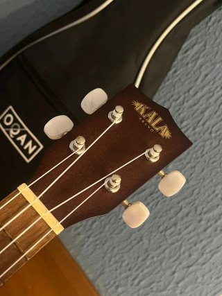Ukulele Kala con custodia
