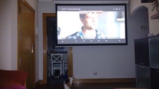Pantalla Proyección Optoma DS-9092PWC