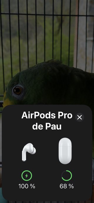 AirPods Pro 2ª Gen