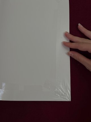 Anatomía aplicada