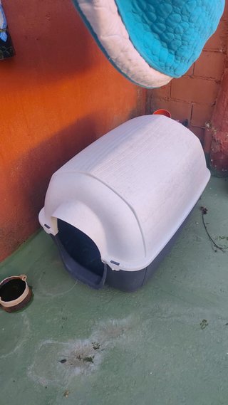 Caseta para perro gris y blanca