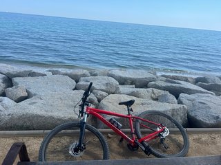Cannondale Trail 7 M 29 Quasi Nuova