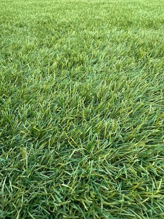 Césped artificial verde