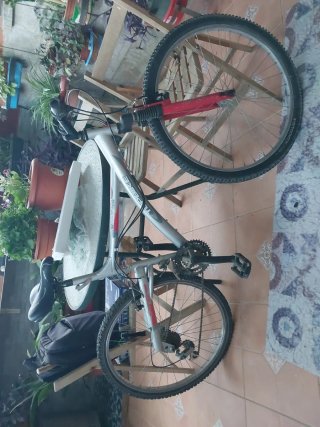 Bicicleta de montaña plateada