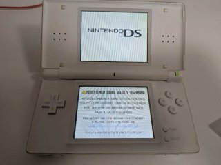 Nintendo DS Lite Blanca + Cargador + 3 Stylus