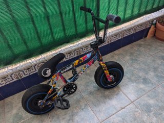 Mini BMX Wildcat