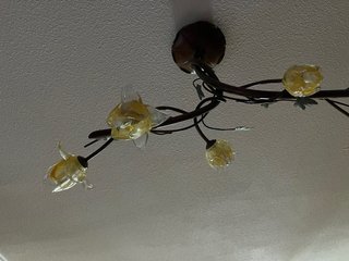 Lámpara de techo 6 luces