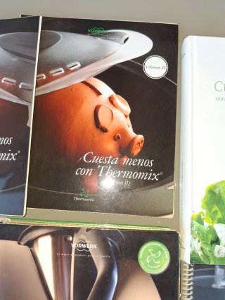 Thermomix TM31 Vorwerk