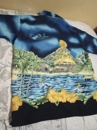 Camisa Verano Estampada Hombre