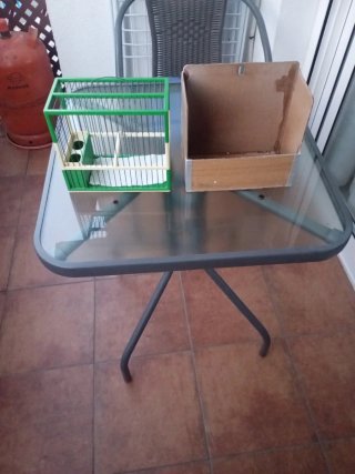 Jaula Jilgueros Beige y Verde