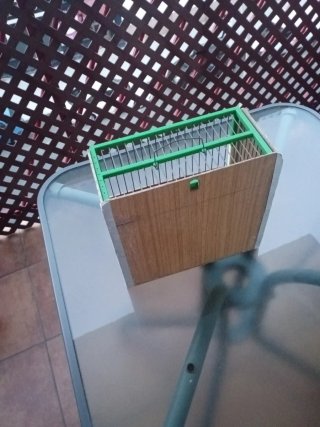 Jaula Jilgueros Beige y Verde