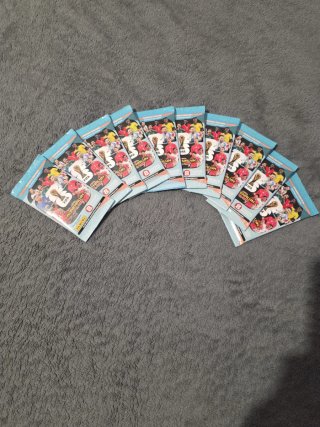 10 Sobres Panini Adrenalyn XL Mundial