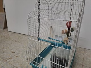 Jaula para pájaros blanca y turquesa