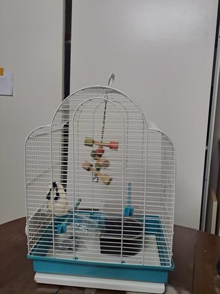 Jaula para pájaros blanca y turquesa
