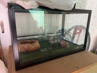 Terrario Reptiles con Piedra Calefactable