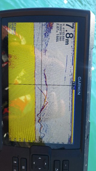 Sonda Garmin Striker Vivid 9sv con traductor