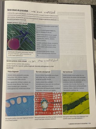 Biologia, Geologia eta Ingurumen Zientziak, Bat...