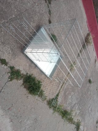 Jaula para perros grandes