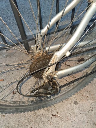 Bicicleta Genox 1