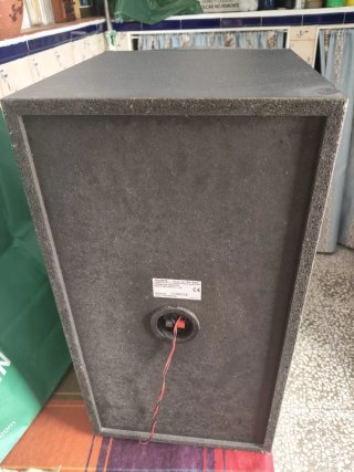 Altavoces Sony Twin Woofer Plata