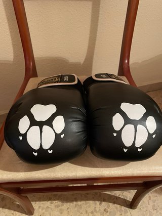 Guantes de Boxeo Ekipol 12 oz Negro