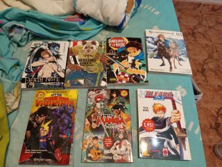 Tomos varios de manga.