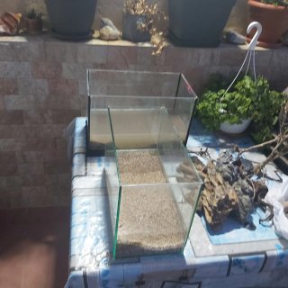 Lote acuarios y accesorios