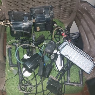 Lote acuarios y accesorios