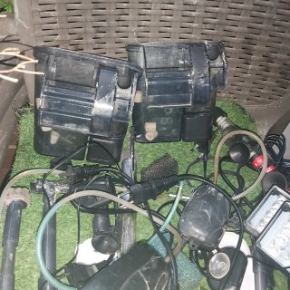 Lote acuarios y accesorios