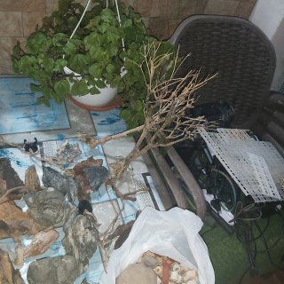 Lote acuarios y accesorios