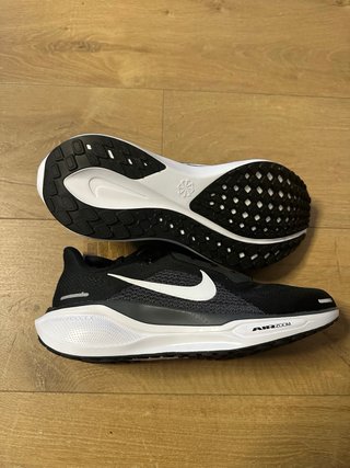 Nike Pegasus 41 Zapatillas Running Hombre
