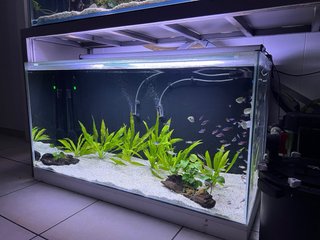 Acuario Grande 338L