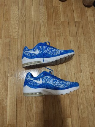 Zapatillas Nike Air Max Azules y Blancas talla 45
