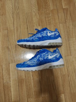 Zapatillas Nike Air Max Azules y Blancas talla 45