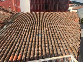 Tejas árabes Cantidad 2500 aproximadamente