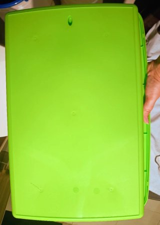 Box per gatti verde