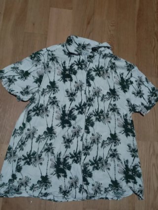 Camisa Hawaiana Palmeras