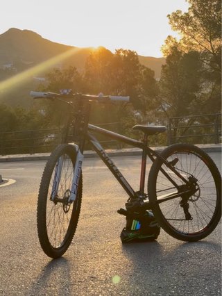 “Bicicleta MTB 29 estilo downhill muy cuidada”
