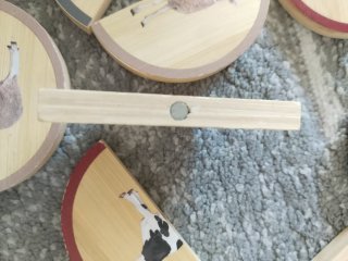 Circles Puzzles magnéticos de animales para niños